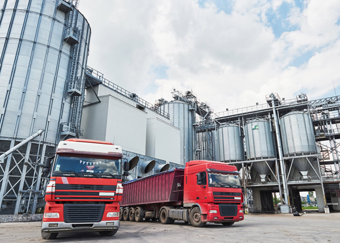 Fuel haulage trucks transporting petroleum products